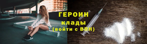 прущие грибы Белокуриха