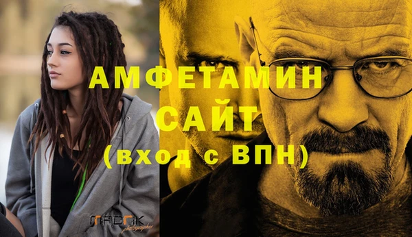 прущие грибы Белокуриха