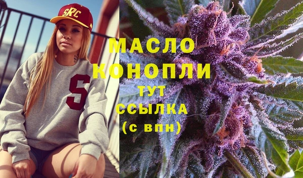 дживик Богородицк