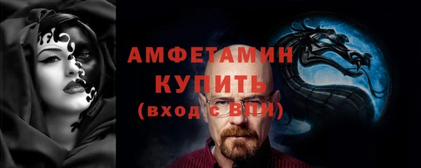 прущие грибы Белокуриха