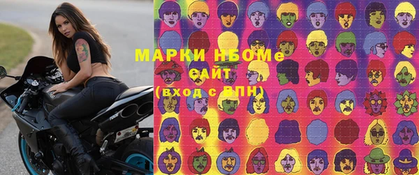 прущие грибы Белокуриха
