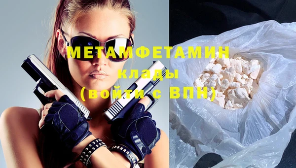 прущие грибы Белокуриха