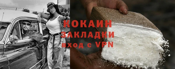 дживик Богородицк